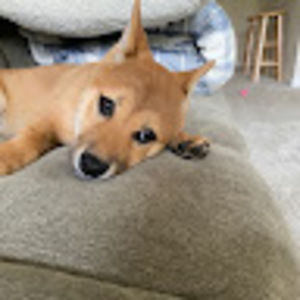 Meet your Posher, Winter